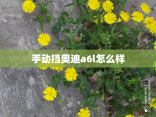 手动挡奥迪a6l怎么样