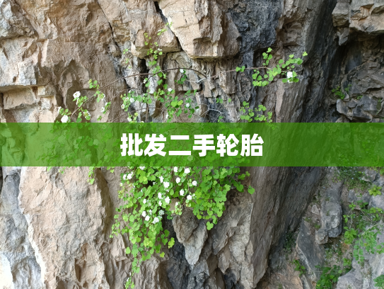 批发二手轮胎