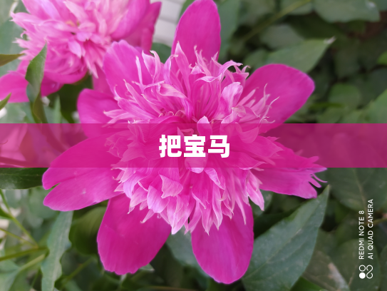 把宝马