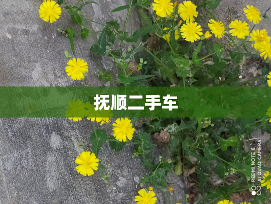 抚顺二手车