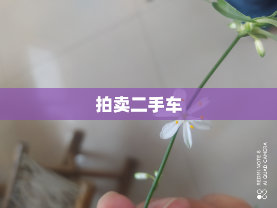 拍卖二手车