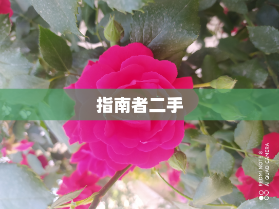 指南者二手