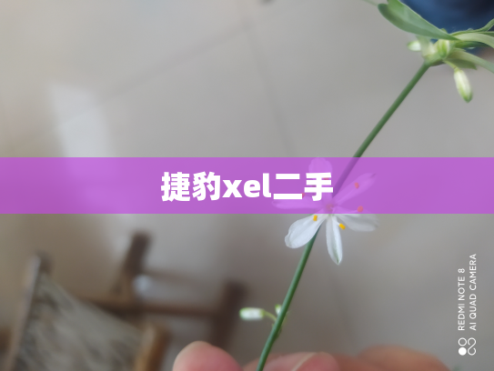 捷豹xel二手