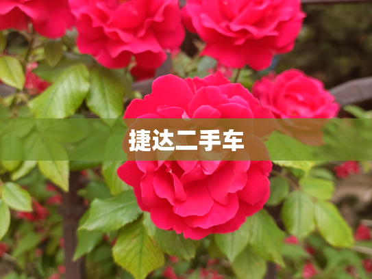 捷达二手车