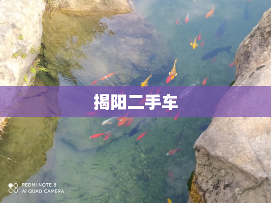 揭阳二手车