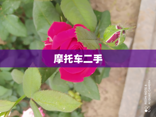 摩托车二手