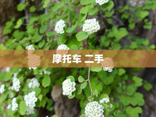 摩托车 二手