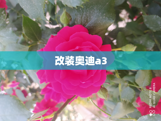 改装奥迪a3