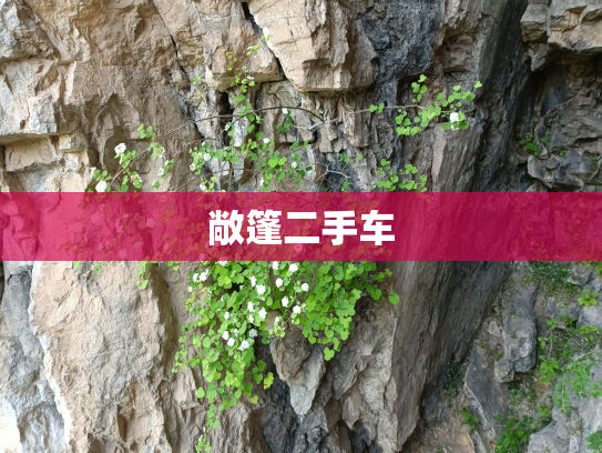 敞篷二手车