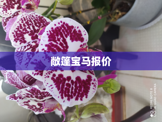 敞篷宝马报价