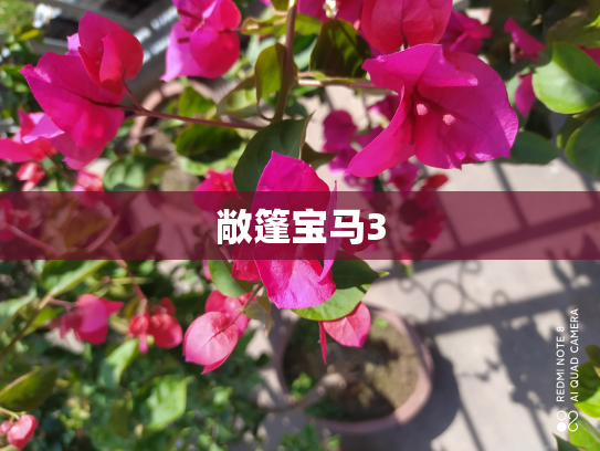 敞篷宝马3
