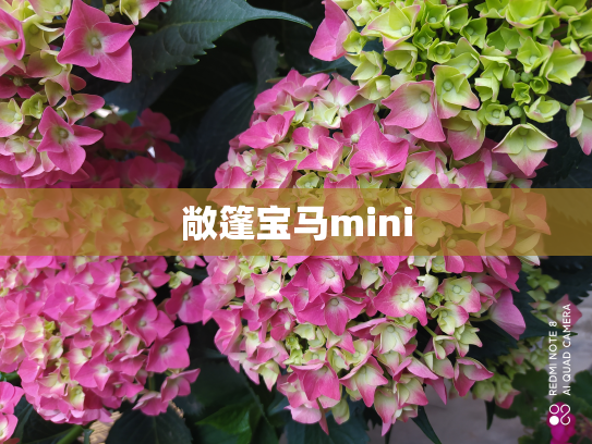 敞篷宝马mini