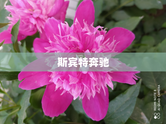 斯宾特奔驰