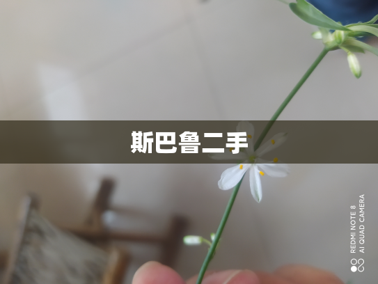 斯巴鲁二手