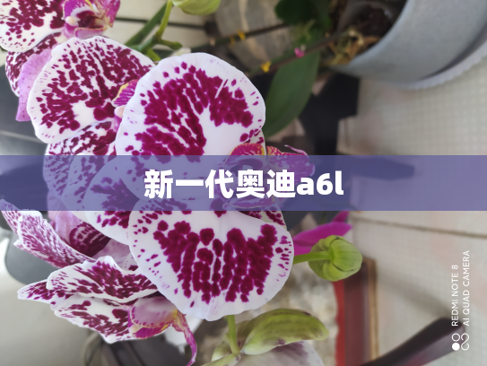 新一代奥迪a6l