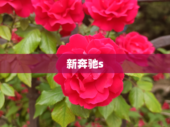 新奔驰s