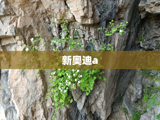 新奥迪a