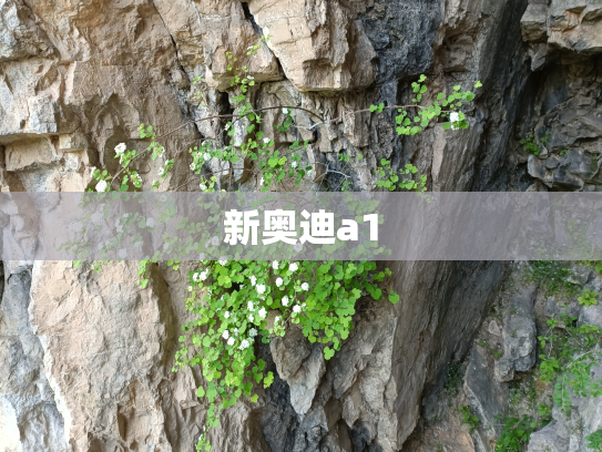 新奥迪a1