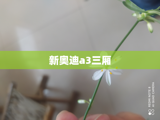 新奥迪a3三厢