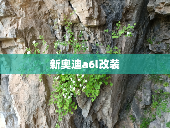 新奥迪a6l改装