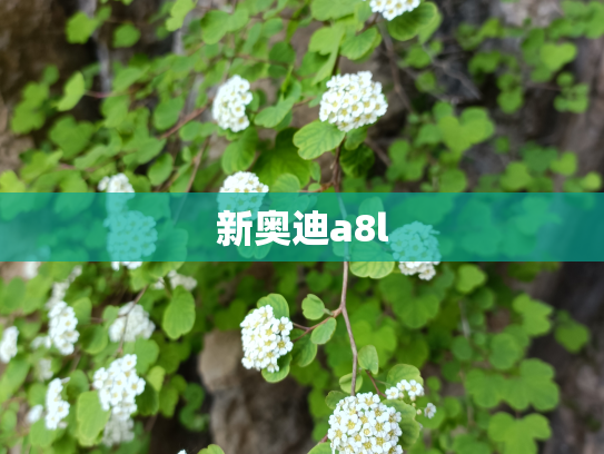 新奥迪a8l