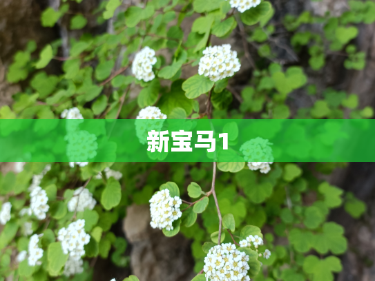 新宝马1