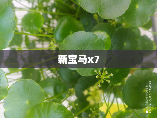 新宝马x7