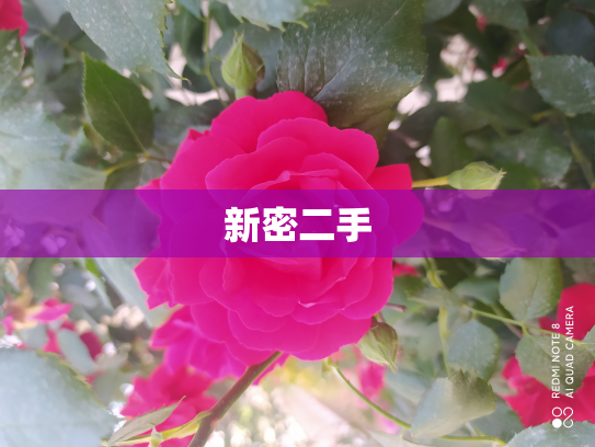 新密二手