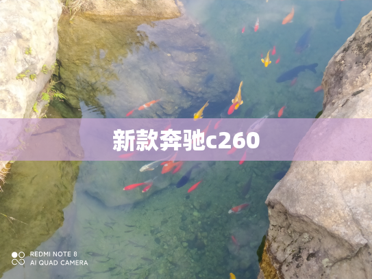 新款奔驰c260