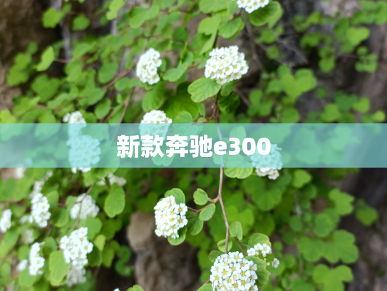 新款奔驰e300
