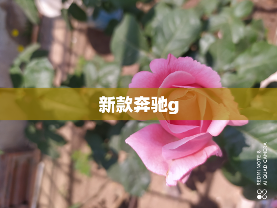 新款奔驰g
