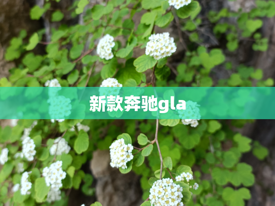 新款奔驰gla