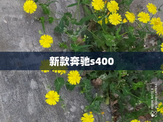 新款奔驰s400