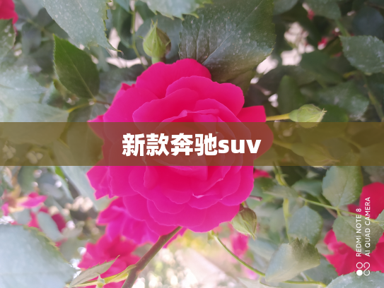 新款奔驰suv