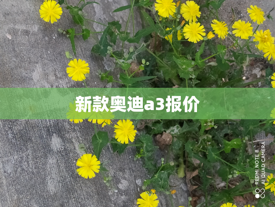 新款奥迪a3报价