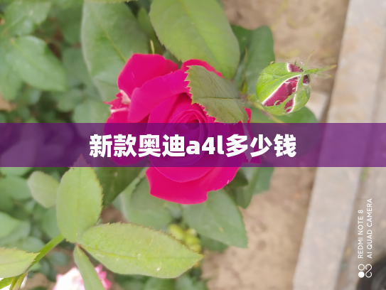 新款奥迪a4l多少钱
