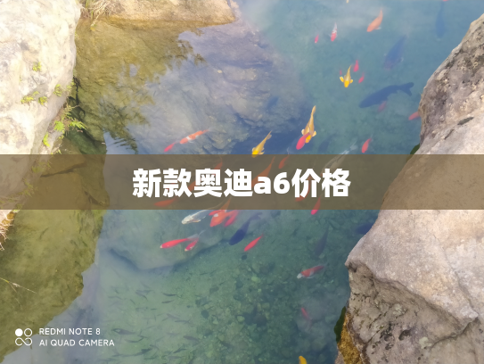 新款奥迪a6价格