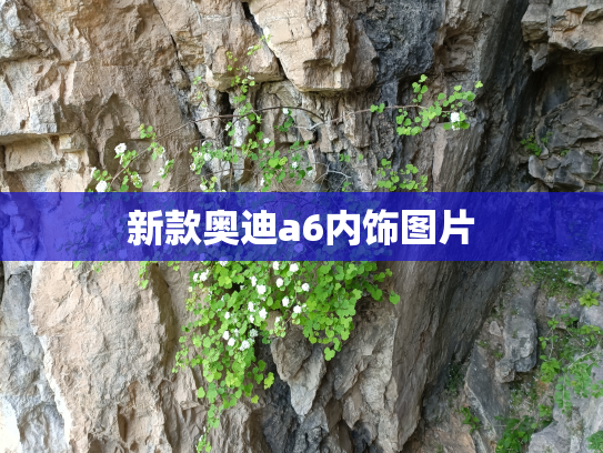 新款奥迪a6内饰图片