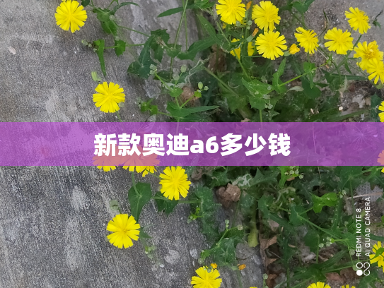 新款奥迪a6多少钱