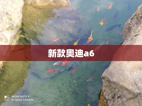 新款奥迪a6