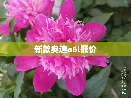 新款奥迪a6l报价