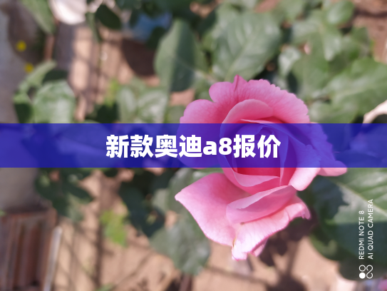 新款奥迪a8报价