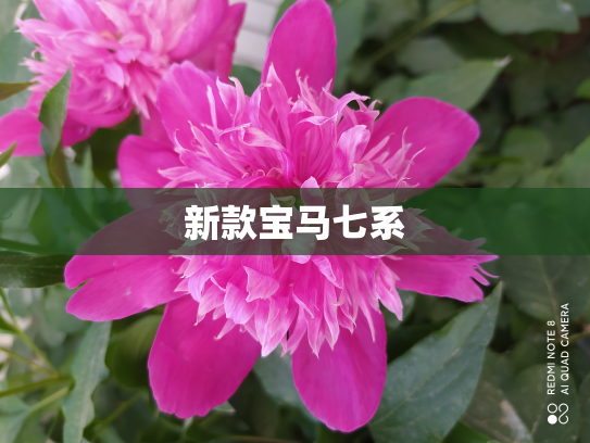 新款宝马七系
