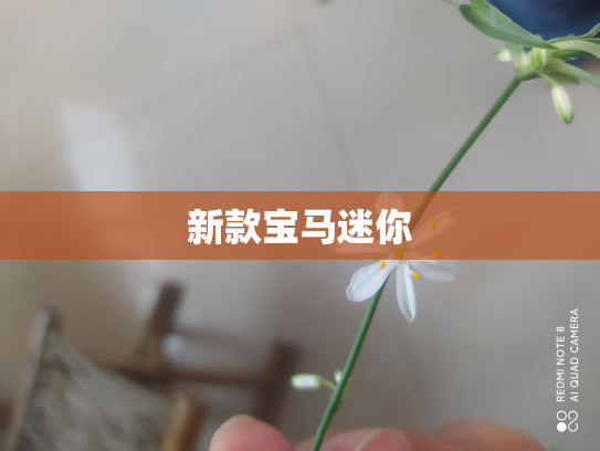 新款宝马迷你