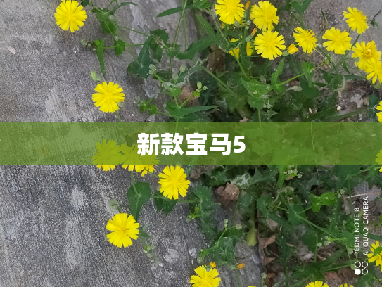 新款宝马5