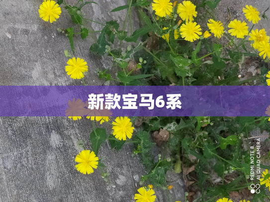 新款宝马6系