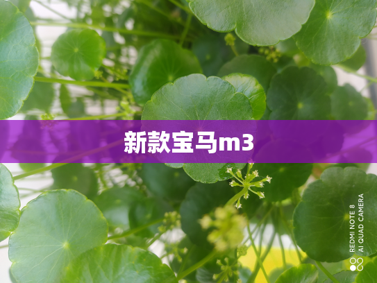 新款宝马m3