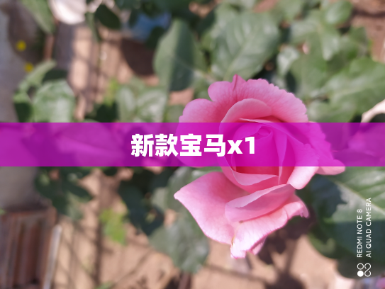 新款宝马x1