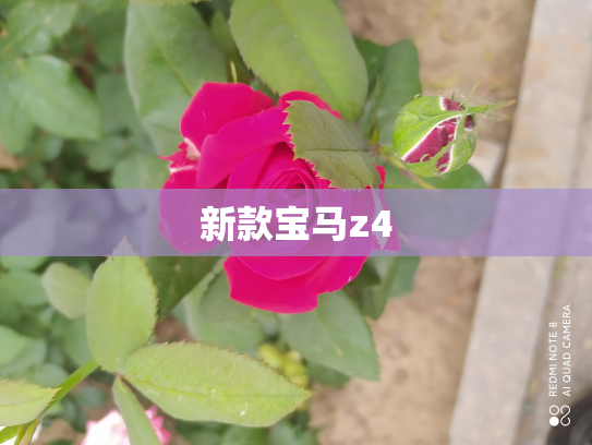 新款宝马z4