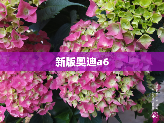 新版奥迪a6
